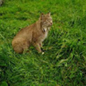 Meet your Posher, Ruby